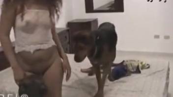 Intense bestiality scenes with fervent fucking