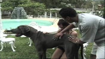 Intense bestiality session with sexy Latin women