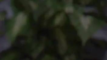 Tiny-titted blonde bangs her husband for the first time