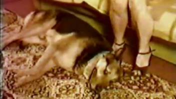 Screwing a pooch has never been this steamy