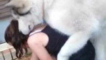 Beastly XXX Featuring a Handsome Pooch
