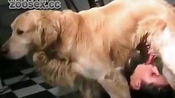Dog beastiality sex with a really busty babe