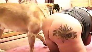 This nasty dog sex video with dog ass fucking