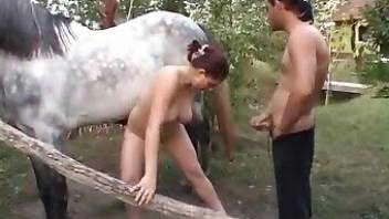 Hot horse fucking pussy in free animal sex