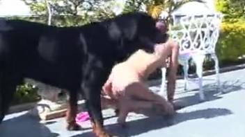 Canine penetrates female roughly outside. Complimentary zoophilia and animal erotica
