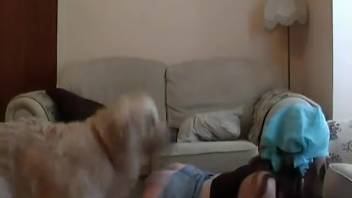 Wedded ladies engaging in intercourse with canines. Complimentary zoophilia and beastly erotica