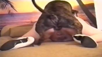 Dark-haired woman relishes intercourse with an ebony monster