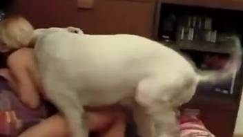 Hardcore dog porn with a mommy