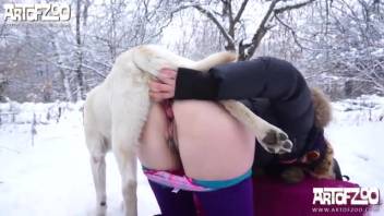 Cold season animal sex romp featuring a canine