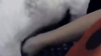 Intercourse with animals is absolutely the sexiest experience