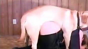 Pale-assed gal fucking a sexy doggo here