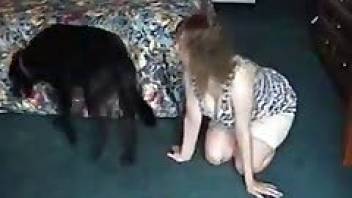 Animal sex video with a horny babe