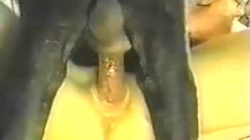 Dark-haired woman being screwed by an excited black canine