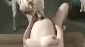 Animal sex film guaranteed to make you climax