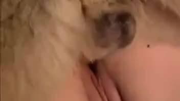 Close-up zoo fuck with a horny gal