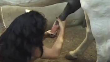 Animal park tramp dark-haired girl blows massive equine dick