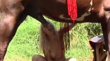 Attractive blonde woman licks and sucks a horse's large cock