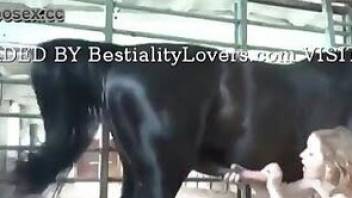Girl having sex with a horse as she likes