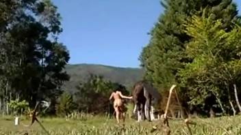 Female having sex with a horse penetrated by huge cock