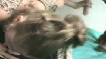 Dirty bestiality whore blows horse cock