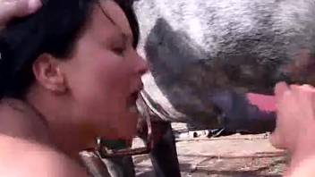 Collective beast sex session featuring adorable puppy