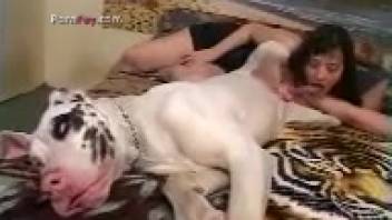 Surprising top female canine monikers for animal encounters