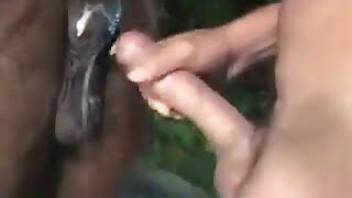 Man fucks mare in the tight anal hole