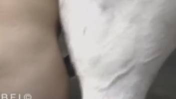 Lady screwing a horse like a budget slut