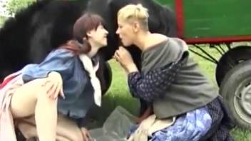 Lady screwing a horse in outdoor adult video