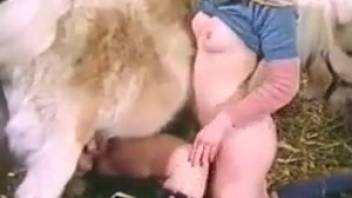 Blonde teen in horse bestiality video