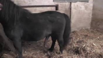 Mature woman in horse bestiality footage