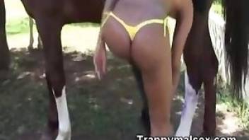 Free horse porn with a Latina. Free bestiality and animal porn