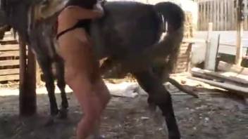 Equine intercourse with fervent oral pleasure. Complimentary zoophilia and beastly erotica