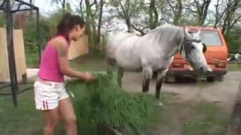 Lady screws equine following oral pleasure. Complimentary zoophilia and beast erotica