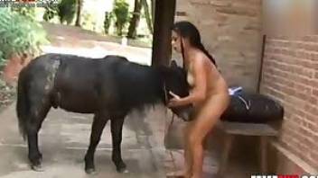 Busty Latin babe licks a ponys cock
