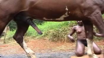 Girl having sex with horse outdoors