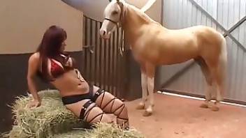 Girl fucks horse to get what she wants