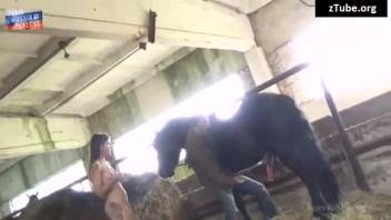 Female has intercourse with horse to induce real ejaculation