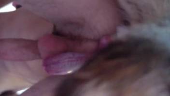 Guy got banged in the butt by a homosexual canine