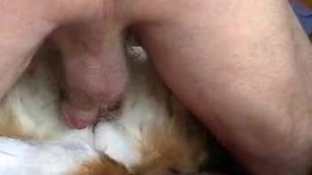 Well-endowed dude joyfully banging a submissive creature