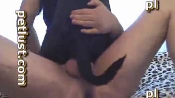 Man's zoophilia featuring intense thrusting
