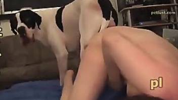 Awesome dog anal video with a dude