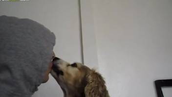 Man screws canine on the ground. Complimentary zoophilia and beast sex content