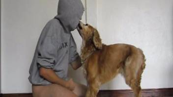 Homosexual animal sex videos featuring intense oral pleasure. Complimentary zoophilia and beast porn content