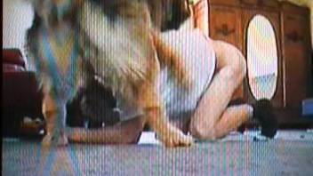 Man screws canine in his yard. Complimentary zoophilia and animal erotica