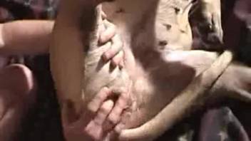 Man screws his canine and displays her vagina