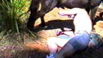 Equine intercourse clip featuring a perverted submissive