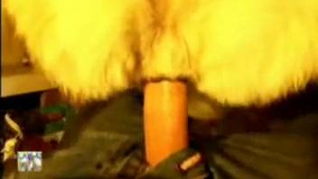 Filthy dude screws his pale pup on webcam