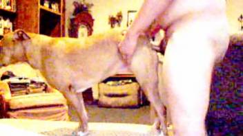 Attractive homosexual bestiality video in doggy position