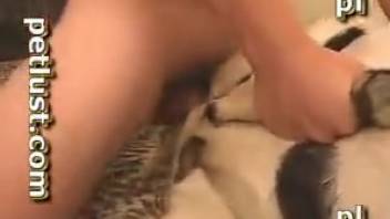 Erotic complimentary homosexual bestiality adult video encounter